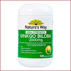 Nature’s Way High Strength Ginkgo Biloba
