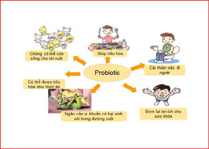 Probiotic - Nhà Thuốc Hạnh Phúc