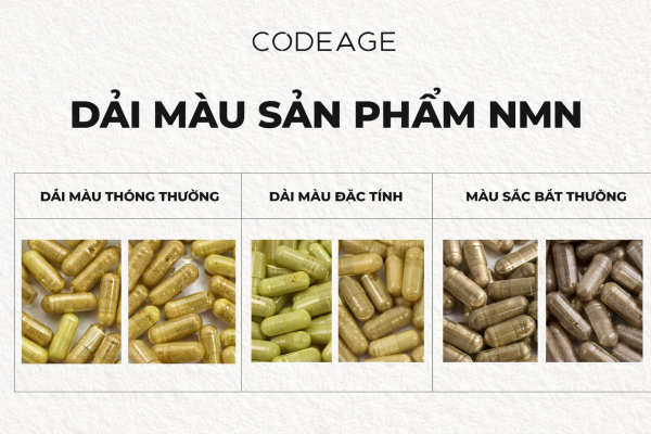 Bảng màu sản phẩm NMN