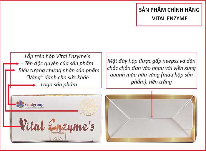 Vital Enzyme